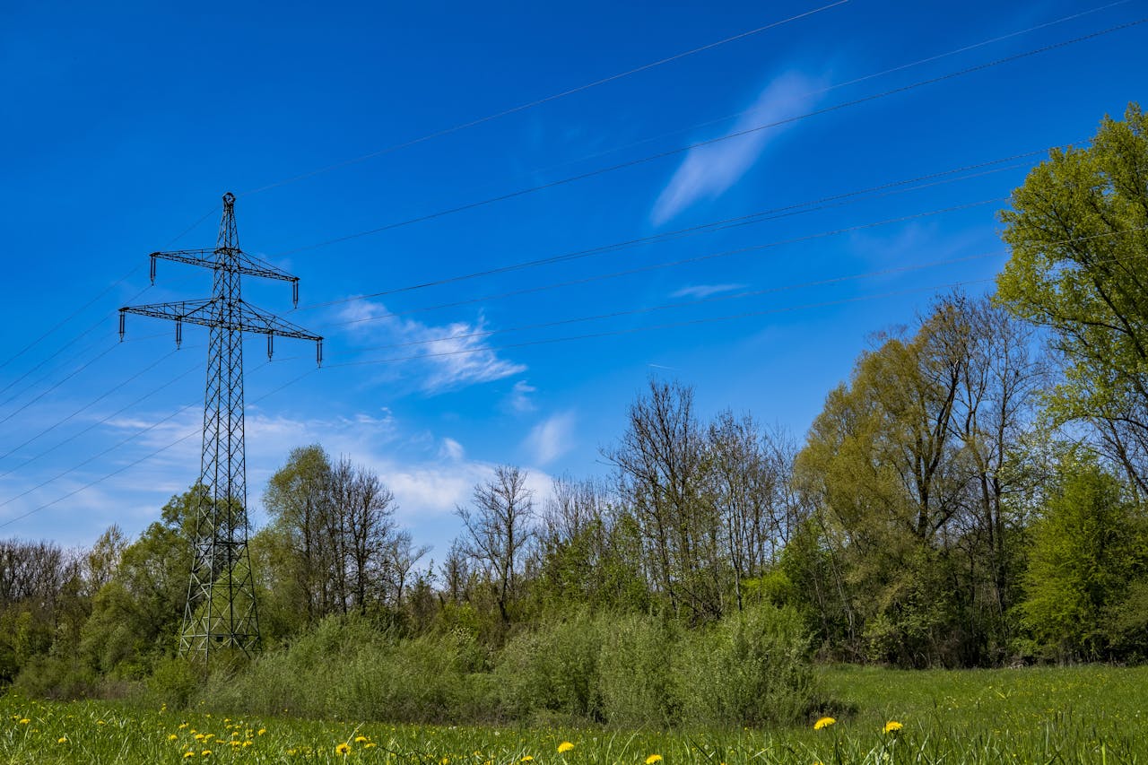 telephone pole